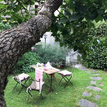Les Renards Du Coeur